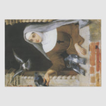 Gods schepselen (non voeden vogels)