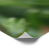 Gods tuin poster (Hoek)