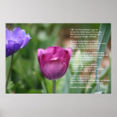 Gods tuin poster (Voorkant)