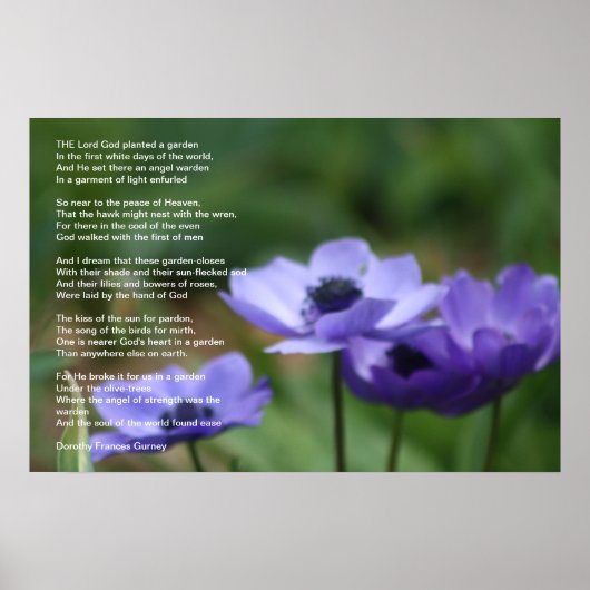 Gods tuin poster (Voorkant)