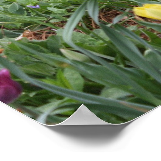 Gods tuin poster (Hoek)