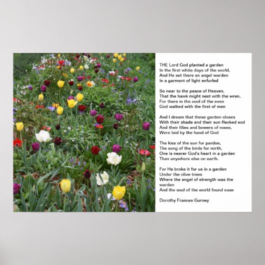 Gods tuin poster (Voorkant)