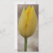 God's Vergiffenis en Grace Prayer Kaart (Achterkant)