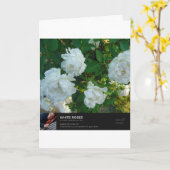 Gods zegeningen kaart (Gele Bloem)