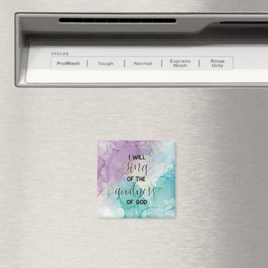 Godsdienst Magneet (Insitu (Vaatwasser))