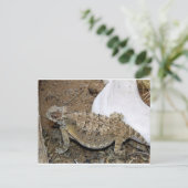 Godzilla Retourneert Briefkaart (Staand voorkant)