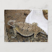 Godzilla Retourneert Briefkaart (Voorkant)