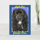 Goed begroeten ~ Newfoundland Kaart (Voorkant)