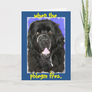 Goed begroeten ~ Newfoundland Kaart