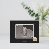 Goed? Briefkaart (Staand voorkant)