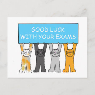 Goed gelachen met uw Exams Cartoon Cats Briefkaart