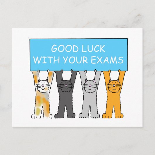 Goed gelachen met uw Exams Cartoon Cats Briefkaart (Voorkant)