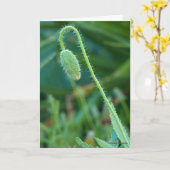 Goed gelag op nieuwe beginnings papy Bud fotografi Kaart (Gele Bloem)