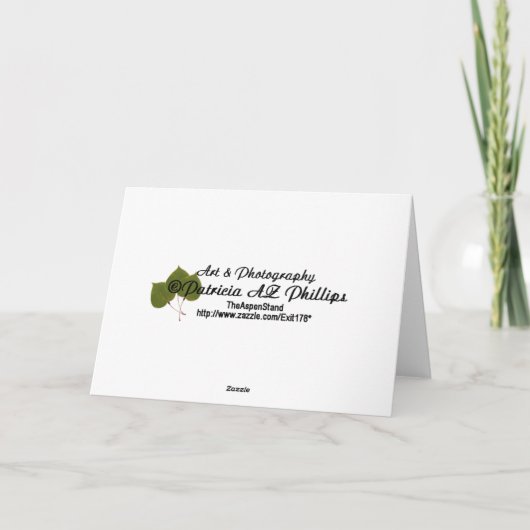 Goed gelakt, groen gekanteld, versneden papier Abs Kaart (Achterkant)