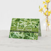 Goed gelakt, groen gekanteld, versneden papier Abs Kaart (Gele Bloem)