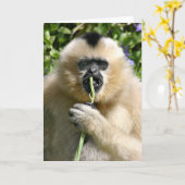 Goed hallo daar kaart (Gele Bloem)