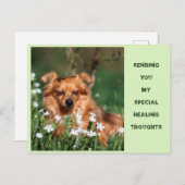 Goed - Healing - Gute Besserung Briefkaart (Voorkant / Achterkant)