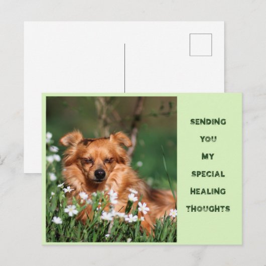 Goed - Healing - Gute Besserung  Briefkaart (Voorkant / Achterkant)