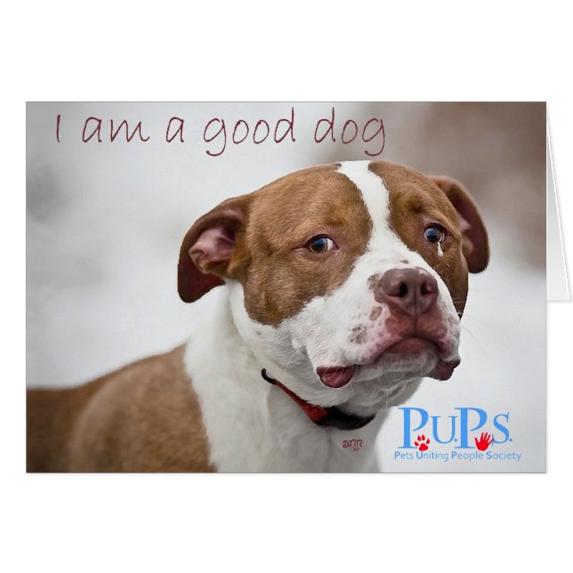 Goed Hond Pit Bull Redding (Voorkant Horizontaal)