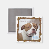 Goed Hond Pit Bull Redding Magneet (Voorkant / Achterkant)