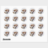 Goed Hond Reddingsorganisatie Pit Bull Ronde Sticker (Vel)