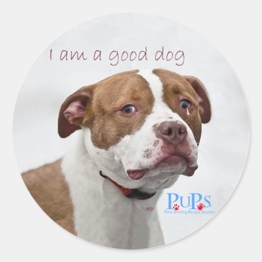 Goed Hond Reddingsorganisatie Pit Bull Ronde Sticker (Voorkant)