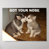 GOED JE KNOP. POSTER (Voorkant)