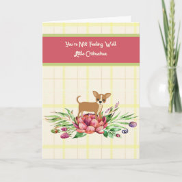 Goed Kaart voor Chihuahua