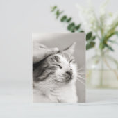 Goed kat! -Briefkaart Briefkaart (Staand voorkant)