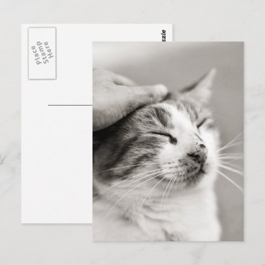 Goed kat! -Briefkaart Briefkaart (Voorkant / Achterkant)