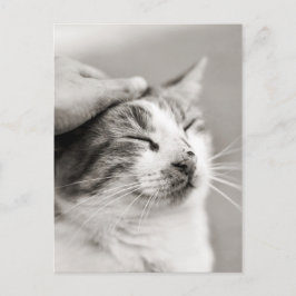 Goed kat! -Briefkaart Briefkaart