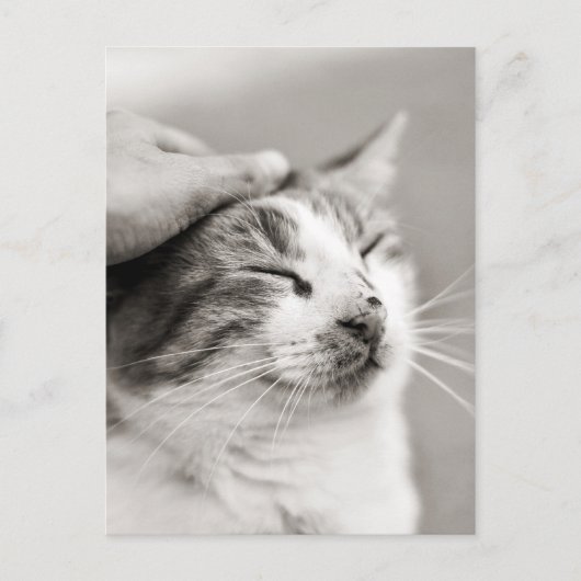 Goed kat! -Briefkaart Briefkaart (Voorkant)