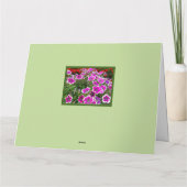 GOED KRIJGEN VAN GROEP/FLORAAL/OVERZICHT KAART (Achterkant)