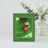 Goed Luck. Briefkaart (Staand voorkant)