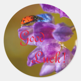 Goed Luck. Ronde Sticker