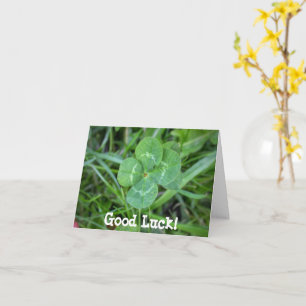 Goed Luck Vier Leaf Clover Kaart