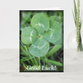 Goed Luck Vier Leaf Clover Kaart (Voorkant)