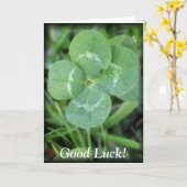 Goed Luck Vier Leaf Clover Kaart (Gele Bloem)