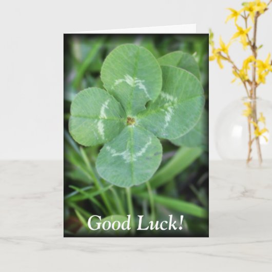 Goed Luck Vier Leaf Clover Kaart (Gele Bloem)