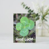 Goed Luck. Vier Leaf Clover-Kaart Briefkaart (Staand voorkant)