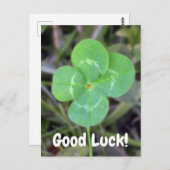 Goed Luck. Vier Leaf Clover-Kaart Briefkaart (Voorkant / Achterkant)
