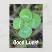 Goed Luck. Vier Leaf Clover-Kaart Briefkaart (Voorkant)