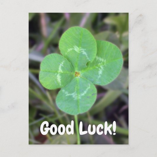 Goed Luck. Vier Leaf Clover-Kaart Briefkaart (Voorkant)
