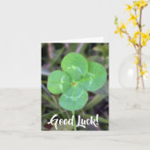 Goed Luck. Vier lef-klaver Kaart (Gele Bloem)