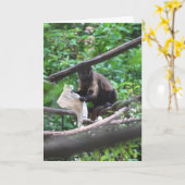 Goed nieuws Monkey zegt gefeliciteerd Kaart (Gele Bloem)