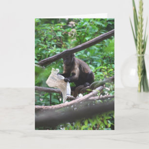 Goed nieuws Monkey zegt gefeliciteerd Kaart