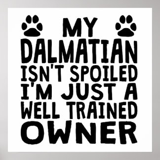 Goed opgeleide Dalmatische eigenaar Poster