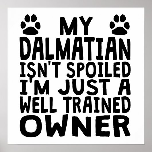 Goed opgeleide Dalmatische eigenaar Poster (Voorkant)