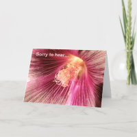 Goed roze Holly Hock Flower
