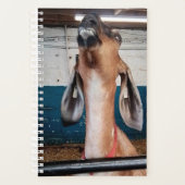Goed uitziend planner (Voorkant)